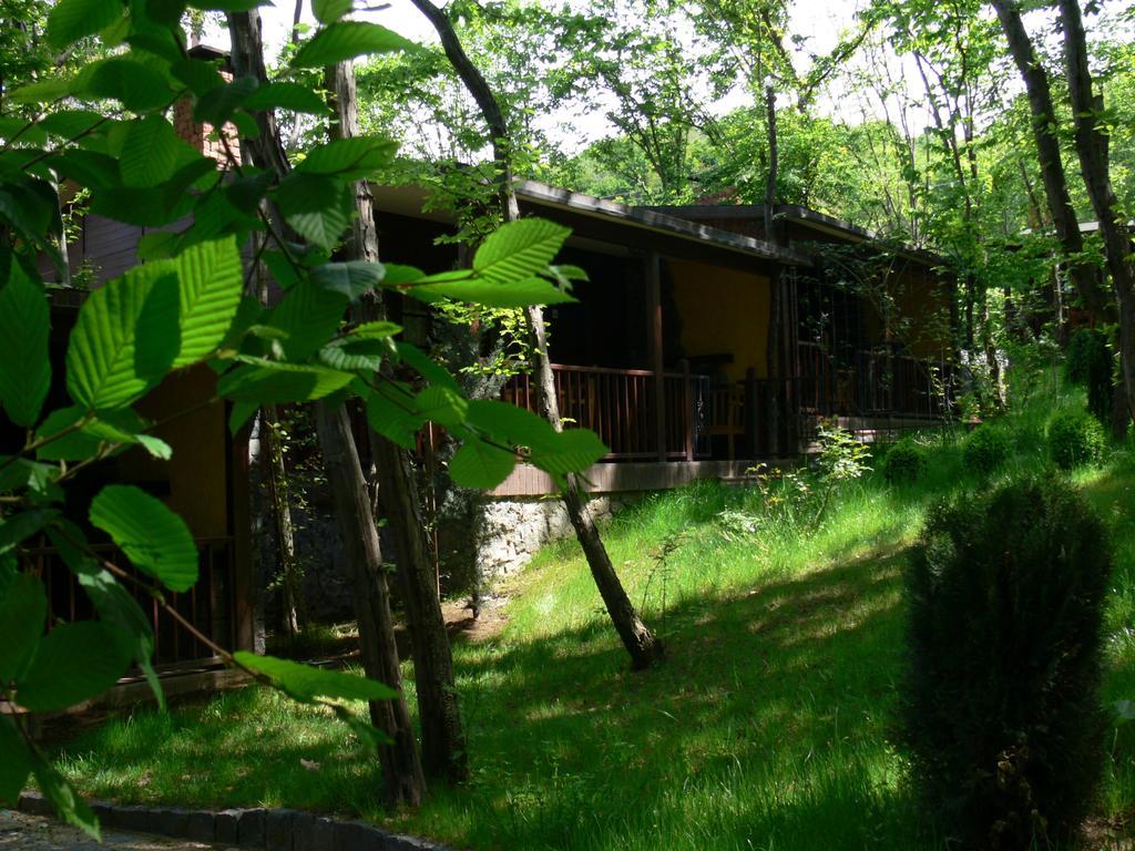Dolunay Fanizan Hotel Fatsa Room photo